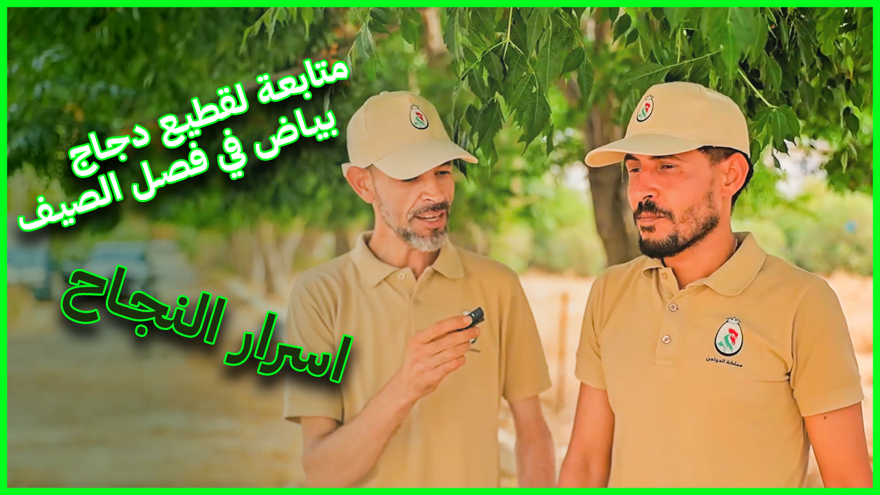 متابعة قطيع 600 أم جيان خلال فصل الصيف